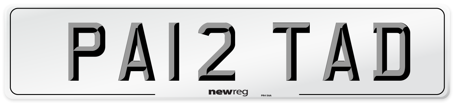 PA12 TAD Number Plate from New Reg